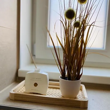 Vinestia Cityloft Storchenblick, Non-serviced Apartment *